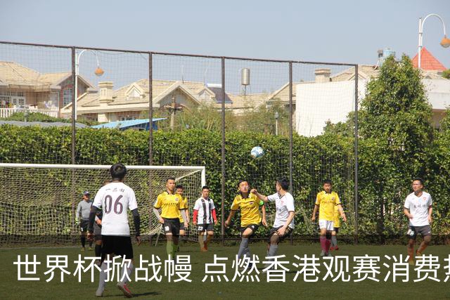 世界杯掀战幔 点燃香港观赛消费热潮